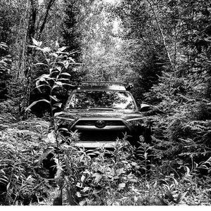 Meet your Posher, Pablo